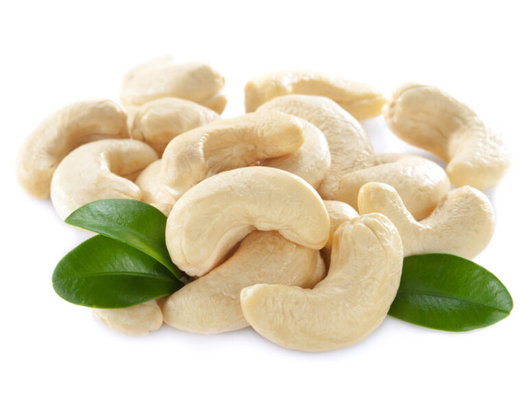 Cashew nuts isolated